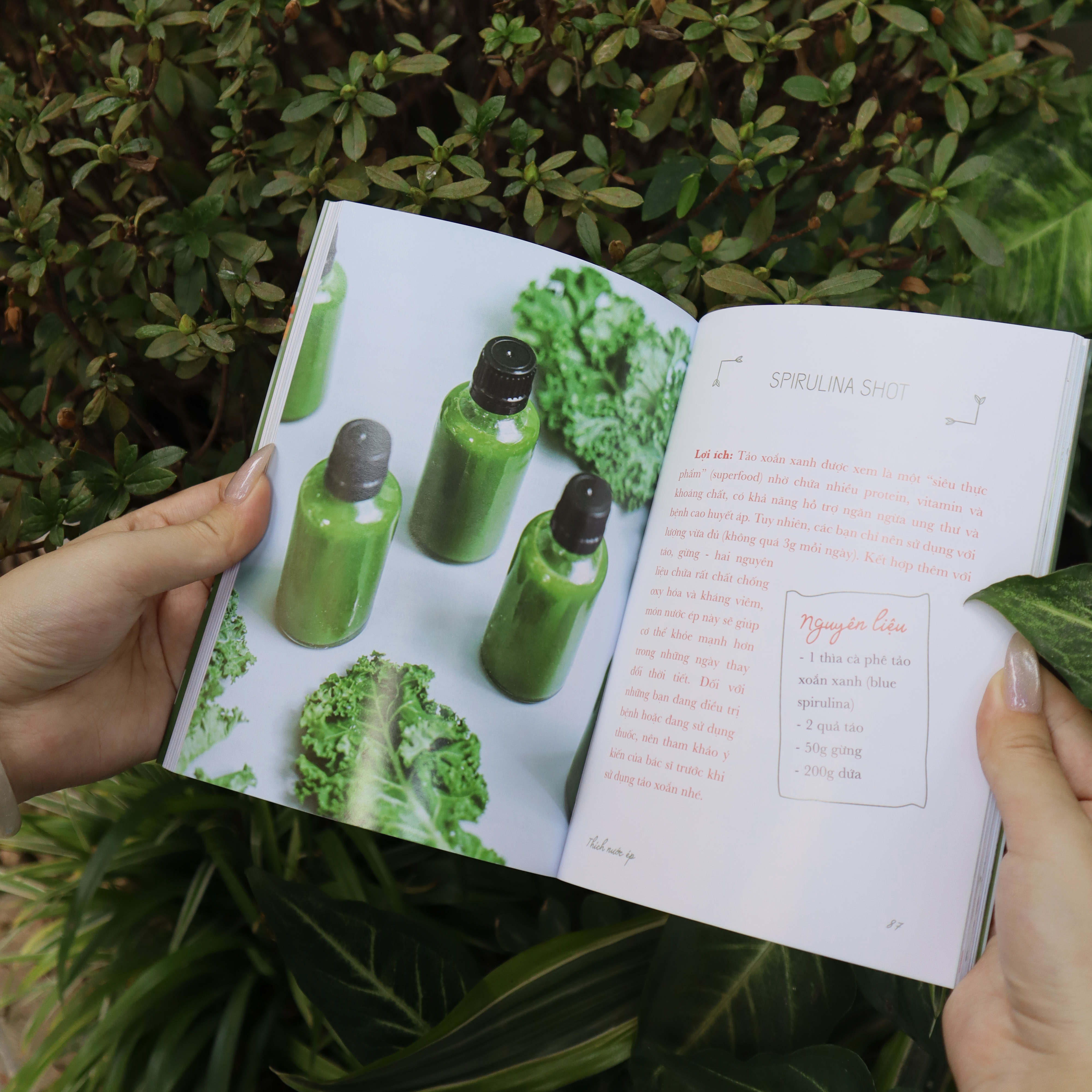 Tiệm Nước Ép Nhà Làm