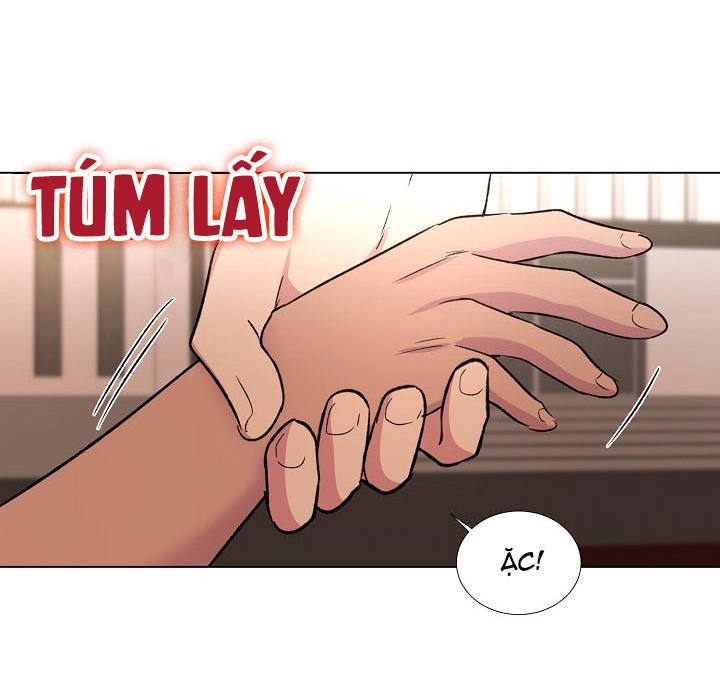 dưới đôi cánh ấy chapter 26.2 27