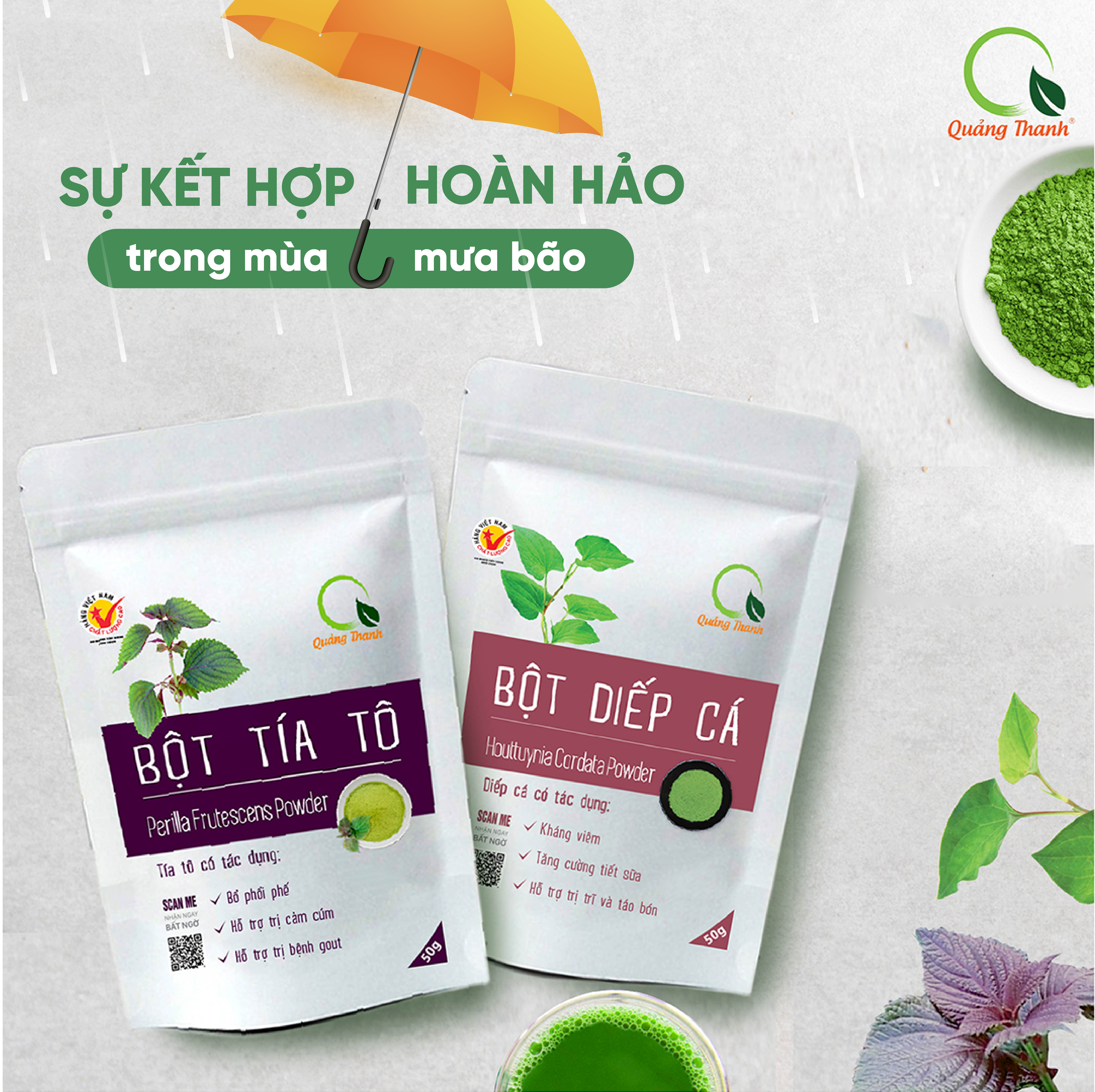 Bột Tía Tô Quảng Thanh 100% Nguyên Chất Sấy Lạnh - Bổ phổi phế, đẹp da, hỗ trợ bệnh Gout - Gói 100 gr