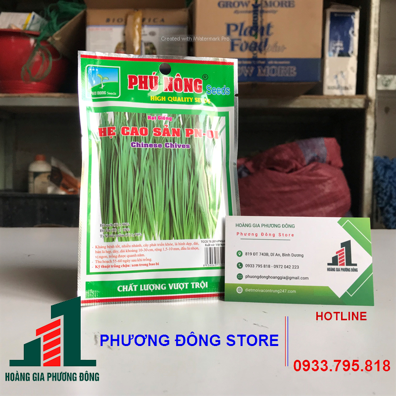 Combo 5-10 gói hạt giống hẹ dễ trồng, kháng bệnh tốt