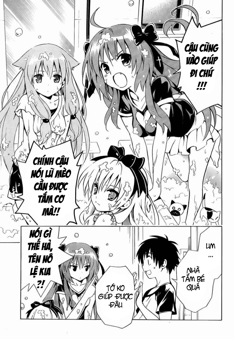 mayoi neko overrun! chapter 7 8