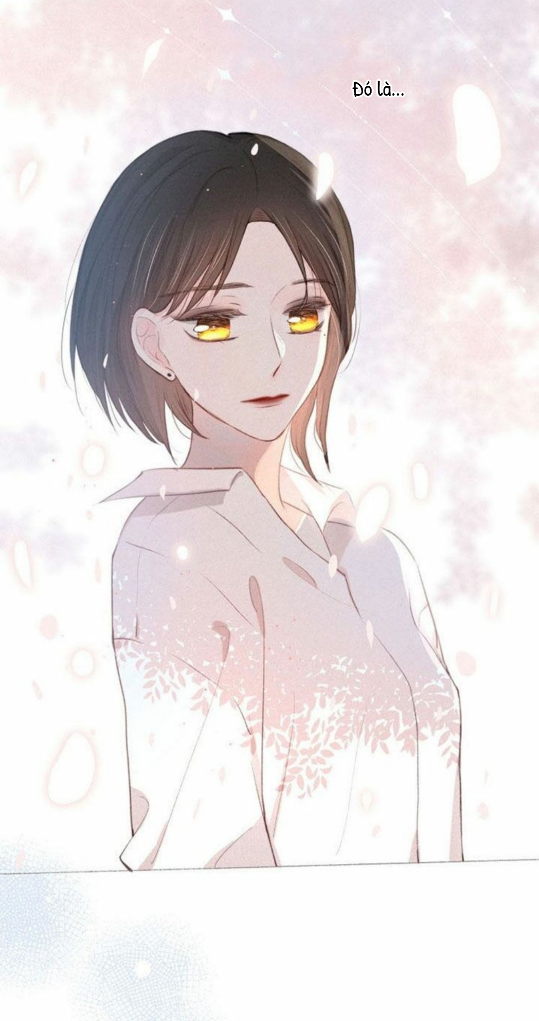 nỗi buồn của hoa cẩm tú cầu chapter 20 23