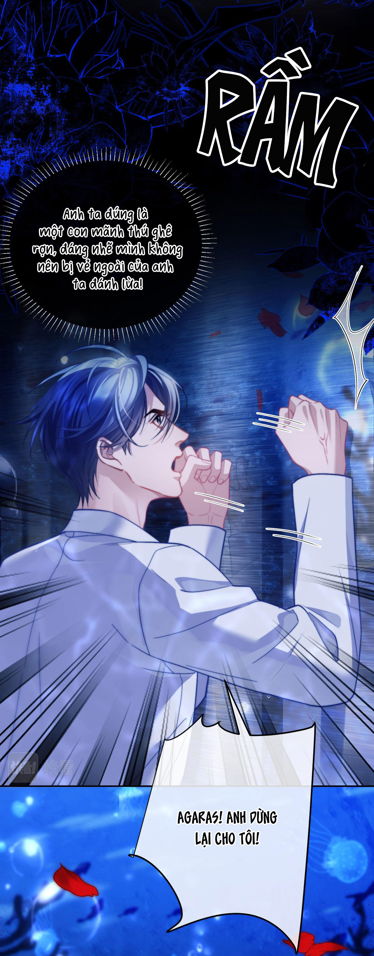 nhân ngư dessaro chapter 12 19