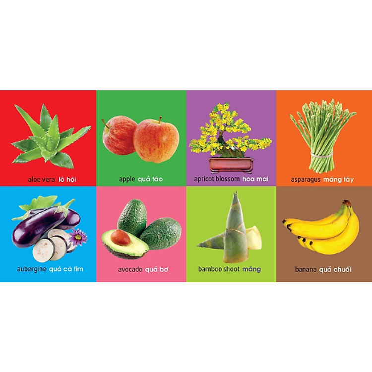 Sách 101 Từ Đầu Tiên