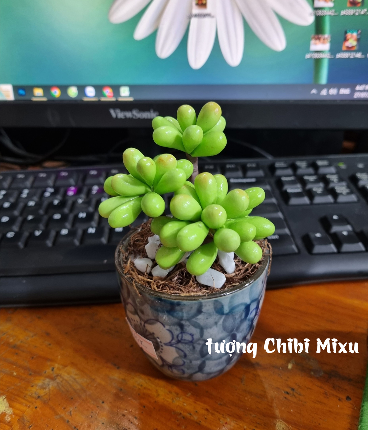 Chậu sen đá bằng đất sét Nhật - mẫu 02