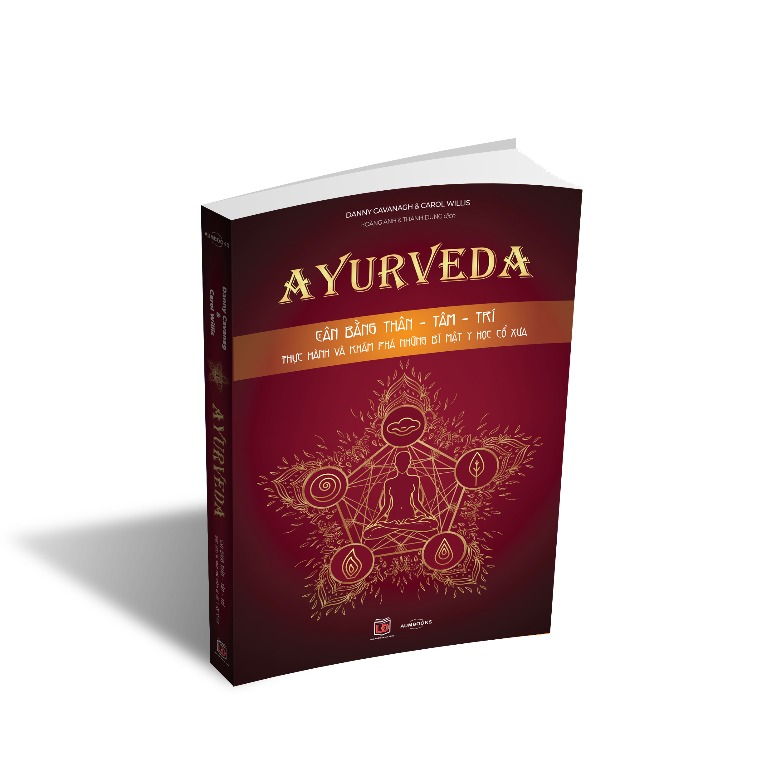 Sách Ayurveda ( cân bằng thâm tâm trí ), Phương pháp y thuật cổ truyền Ấn Độ hơn 5.000 tuổi - Á Châu Books, bìa mềm 384 trang