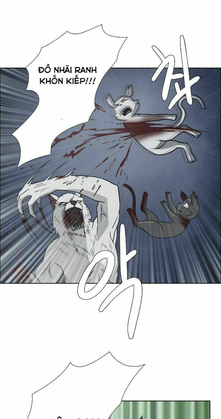 m. m. g. chapter 12 19