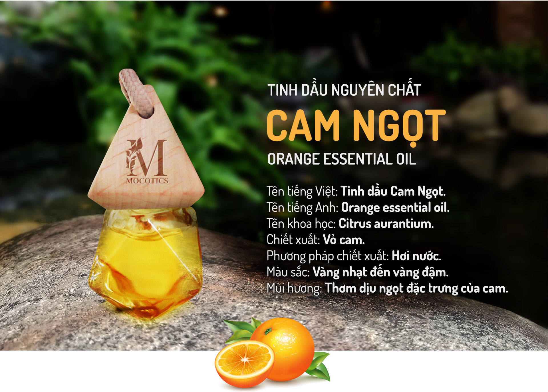 Tinh Dầu Cam Ngọt Treo Xe Ô tô MOCOTICS, Treo Tủ Quần Áo, Giúp Khử Mùi, Thơm Phòng, Chống Say Xe Hiệu Quả