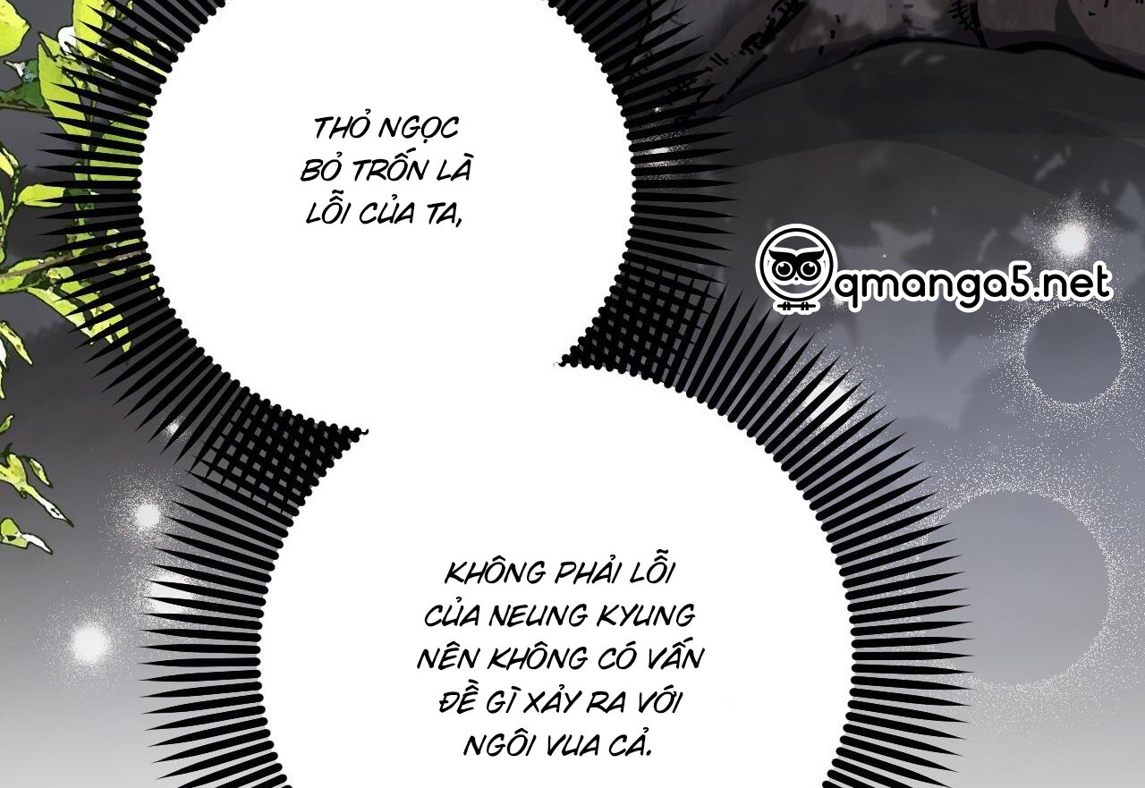 những chú thỏ của hapypy chapter 59 36