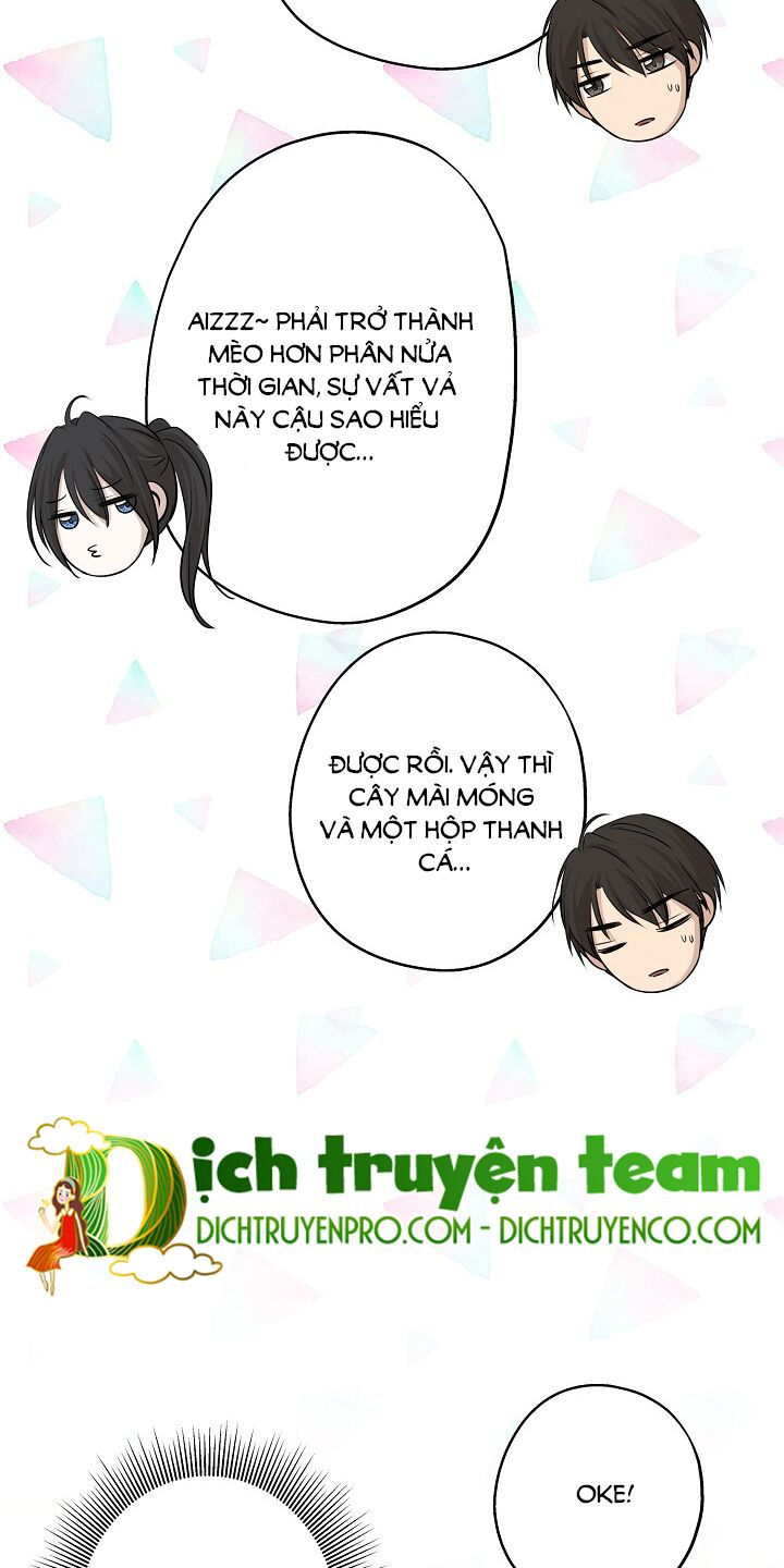 cuộc sống kỳ thú chapter 63 53