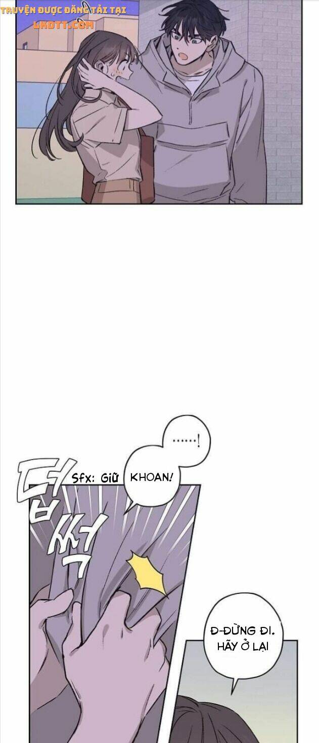 image 28
