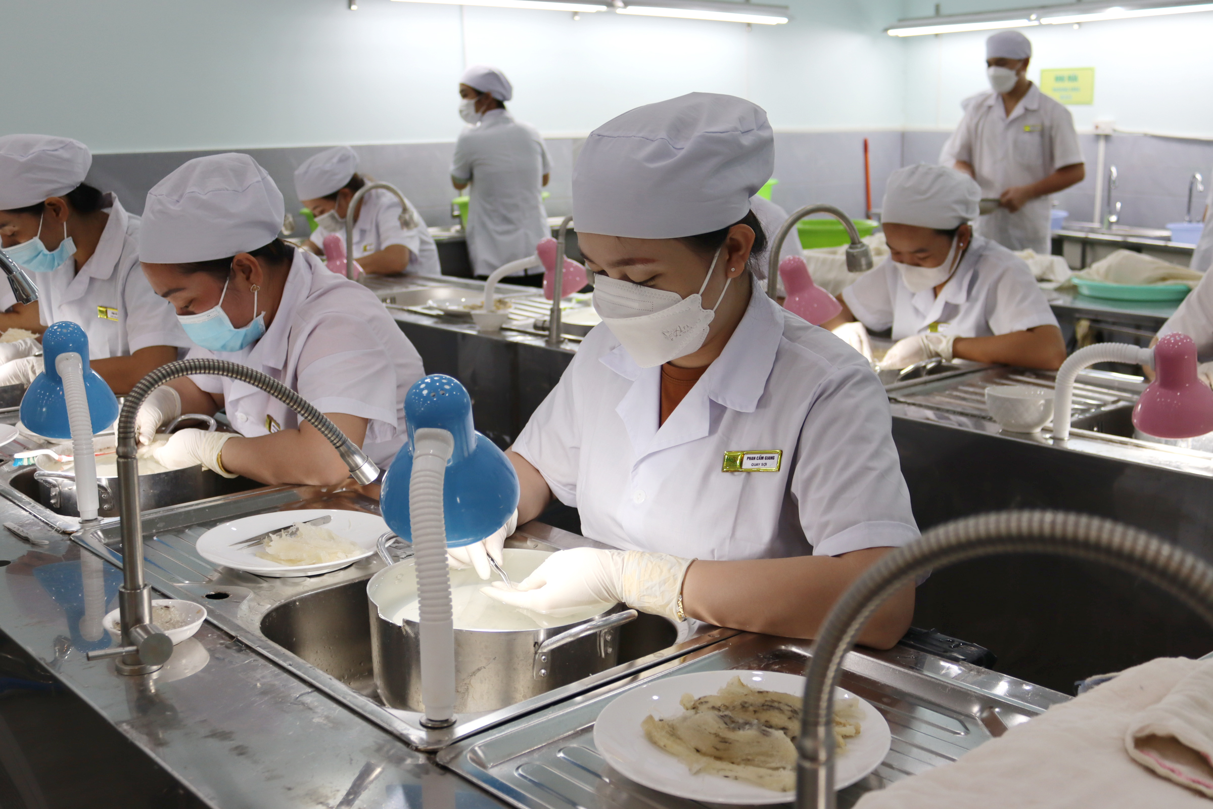 Tổ yến Trắng tinh chế Đảo Yến Phú Quốc - Yến sào nguyên chất tinh chế  - 100% khai thác tại đảo Phú Quốc