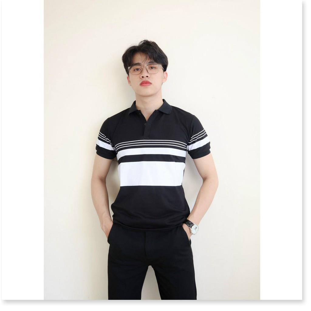 Áo thun cổ trụ ngắn tay hoạ tiết mới cho ae KME FASHION