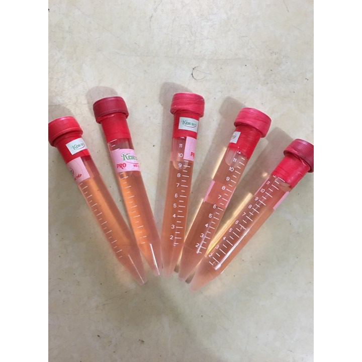 Chế phẩm kích mầm, kích chồi Keiki Duy Pro 15ml