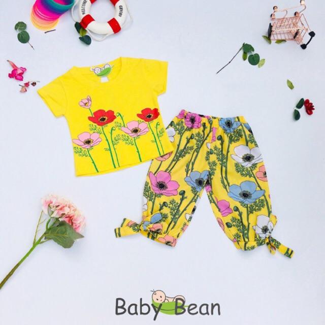 Đồ Bộ Lửng Áo Thun Cotton Quần Hoa Rực Rỡ bé gái BabyBean