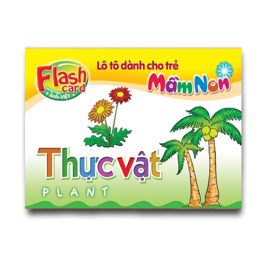 Combo 10 Hộp Flash card song ngữ Anh Việt - Lô tô cho trẻ mầm non - Chủ đề: Thực vật