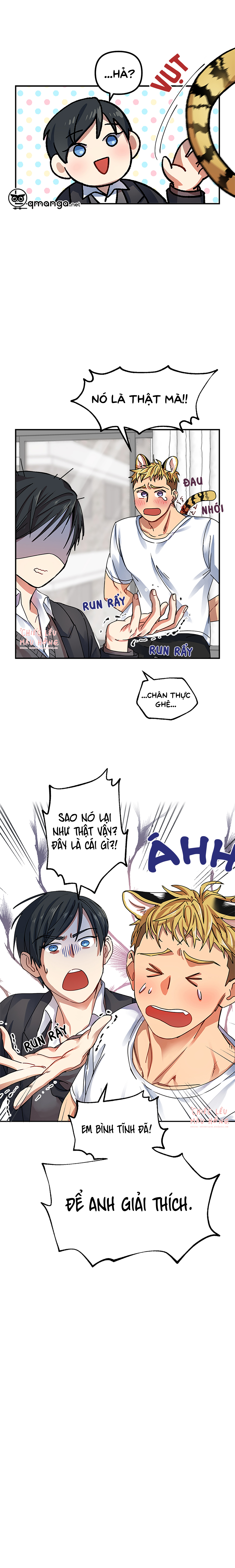 ngày cưới của ngài hổ chapter 1 5