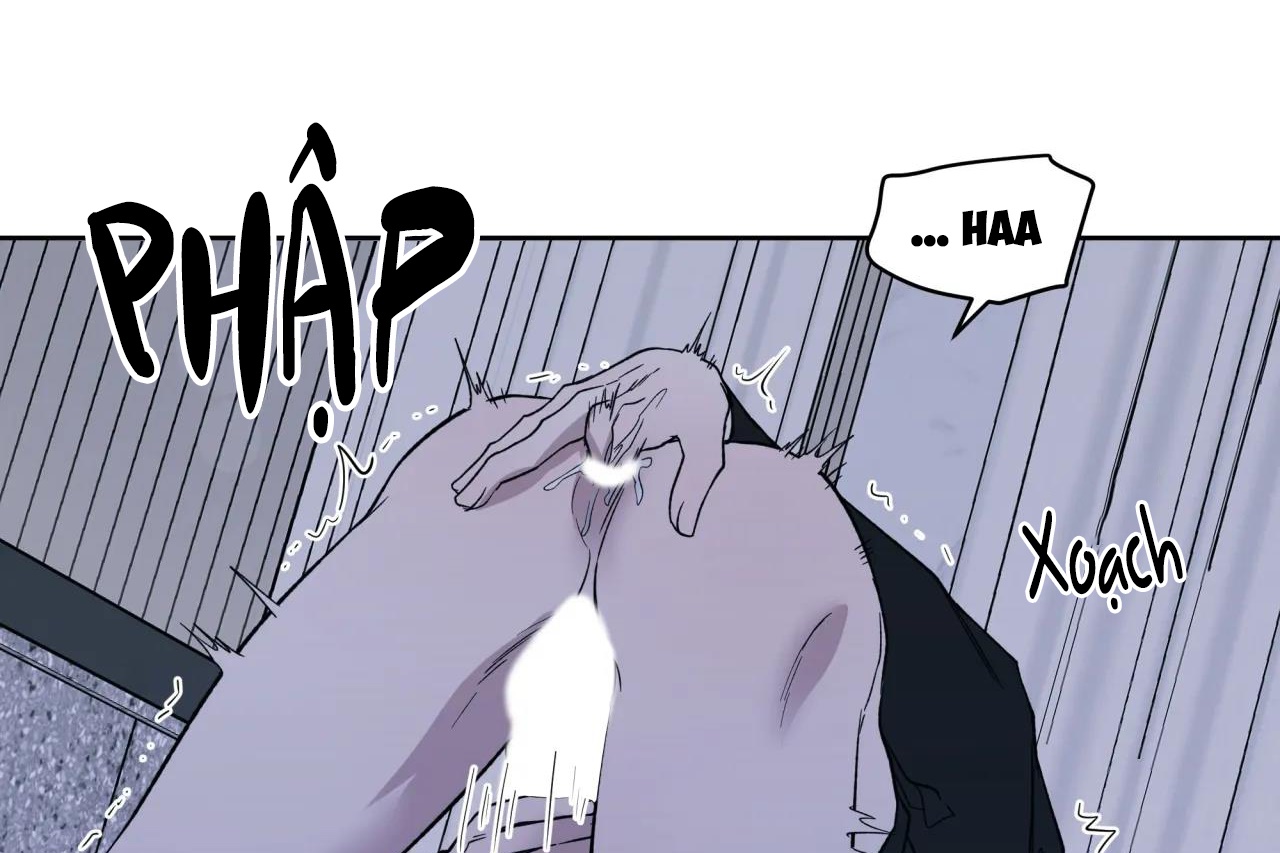 ám ảnh pheromone chapter 60 73