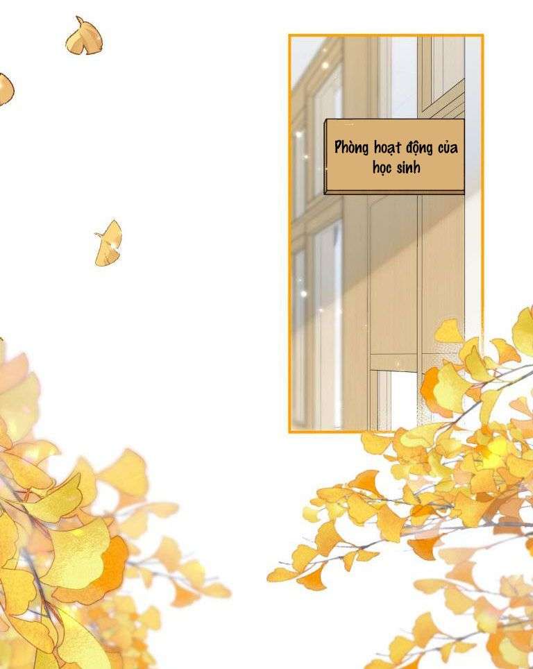 tín tức tố nói chúng ta không thể chapter 42 50