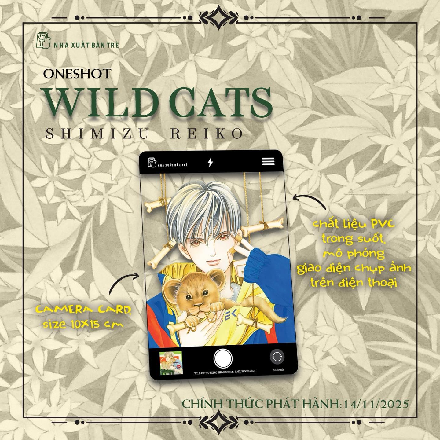 Sách - Wild Cats - Tặng Kèm Mini Poster + Card PVC