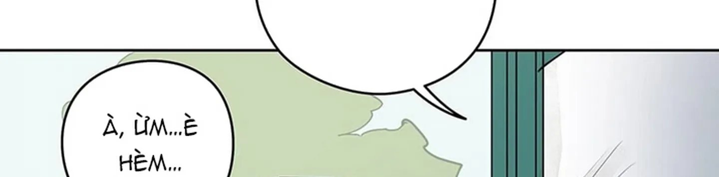 chuyện quái gì với giấc mơ đó vậy chapter 16 42