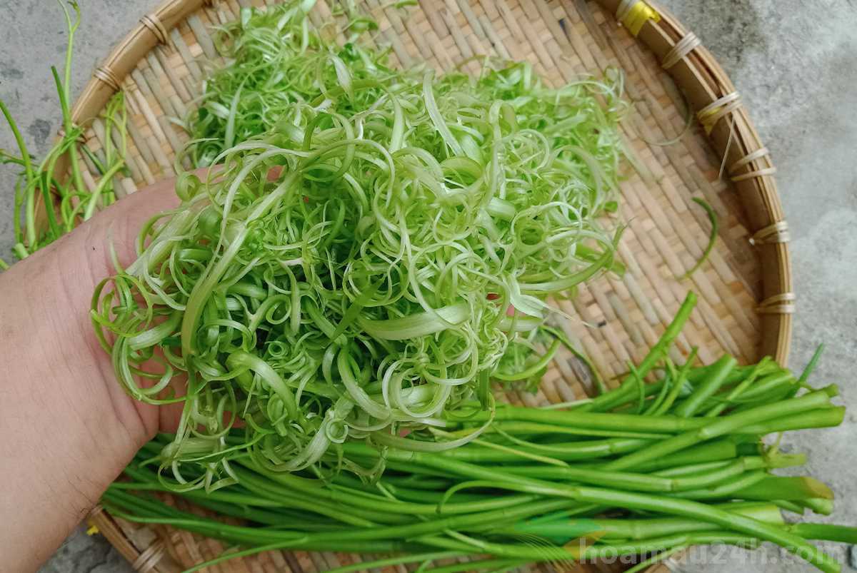 Rau Muống Bào (Gói 200Gr)