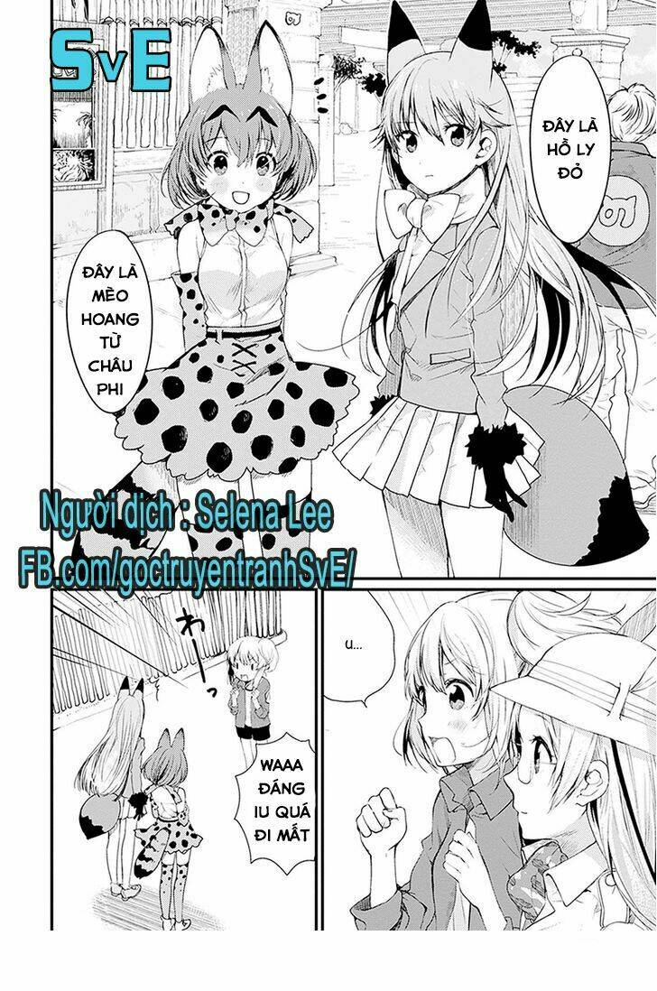 nàng là hồ ly - kemono friends - youkoso javari park e! chapter 1 8
