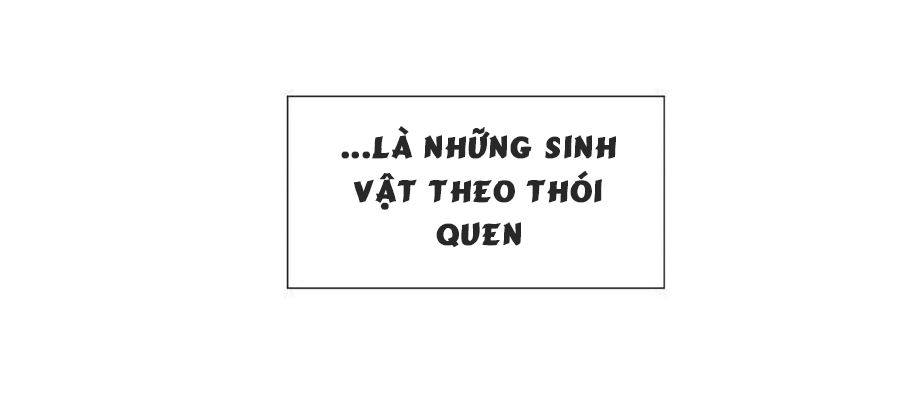 tình yêu như một giấc mộng hè chapter 2 27
