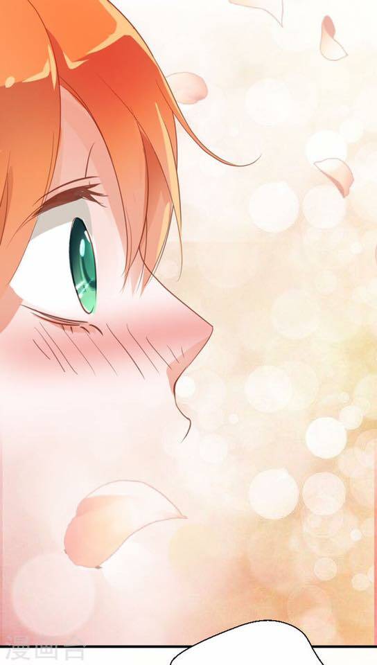 người vợ bí ẩn của tổng tài chapter 9 19