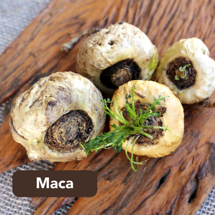 Viên Uống Đông Trùng Hạ Thảo Maca & Cordyceps Plus Tăng Cường Hệ Miễn Dịch Cải Thiện Chất Lượng Giấc Ngủ IngreLife Singapore - Hộp 60 Viên x 300mg