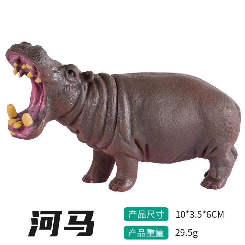 Bộ Thế Giới Động Vật 58 Chi Tiết