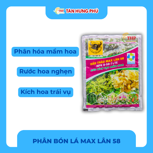 Phân bón lá Chuyên tạo mầm MAX LÂN 58 Gói 30g