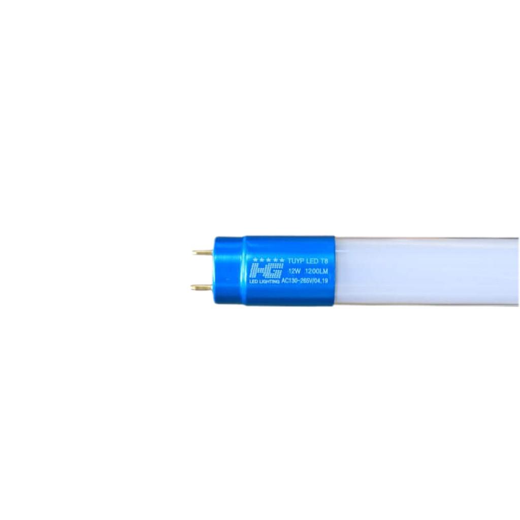 Bộ Đèn Tuýp 12w dài 0.6 mét gồm 1bóng +1máng