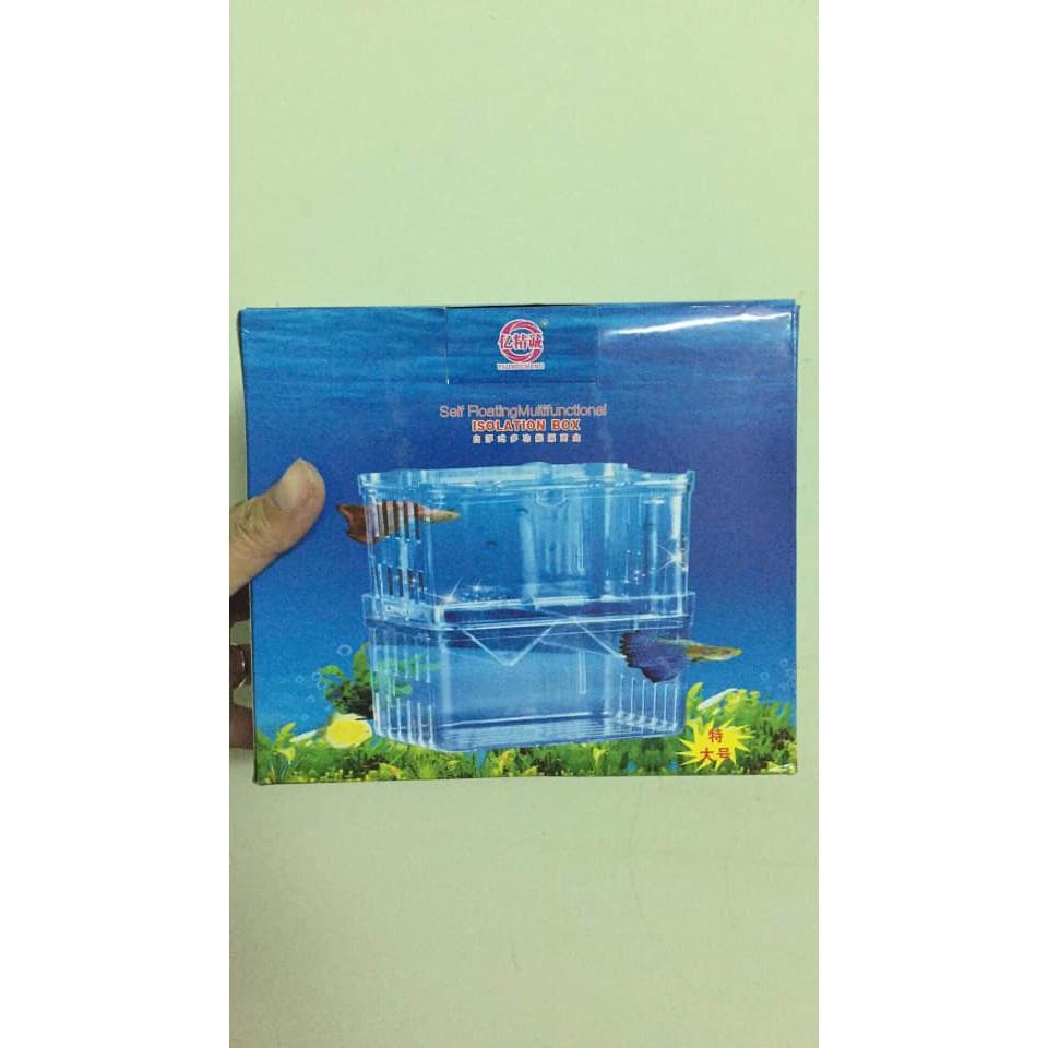Lồng Đẻ Đôi Cho Cá Cảnh - Lồng Tách Và Dưỡng Cá Bệnh