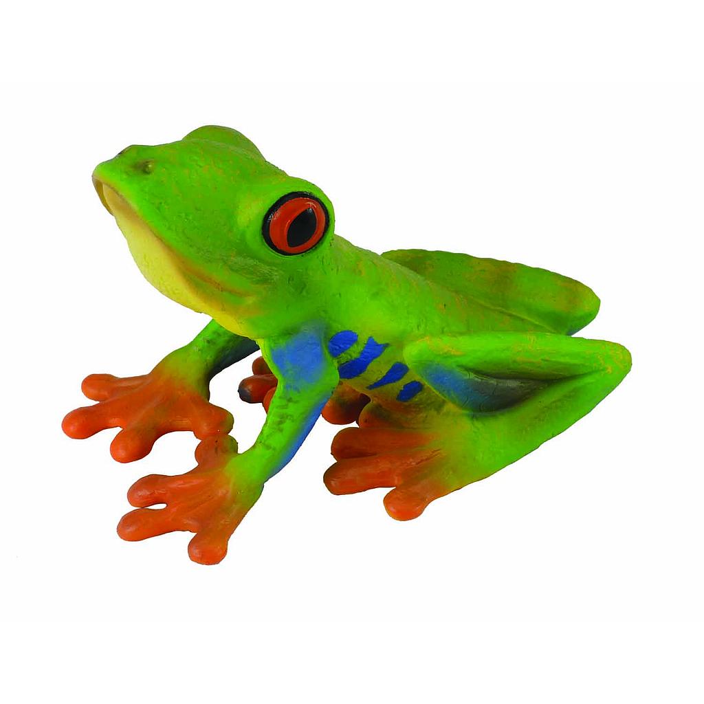 Mô hình thu nhỏ: Ếch cây mắt đỏ - Red-eyed Tree Frog, hiệu: CollectA, mã HS 9653130 - Chất liệu an toàn cho trẻ - Hàng chính hãng
