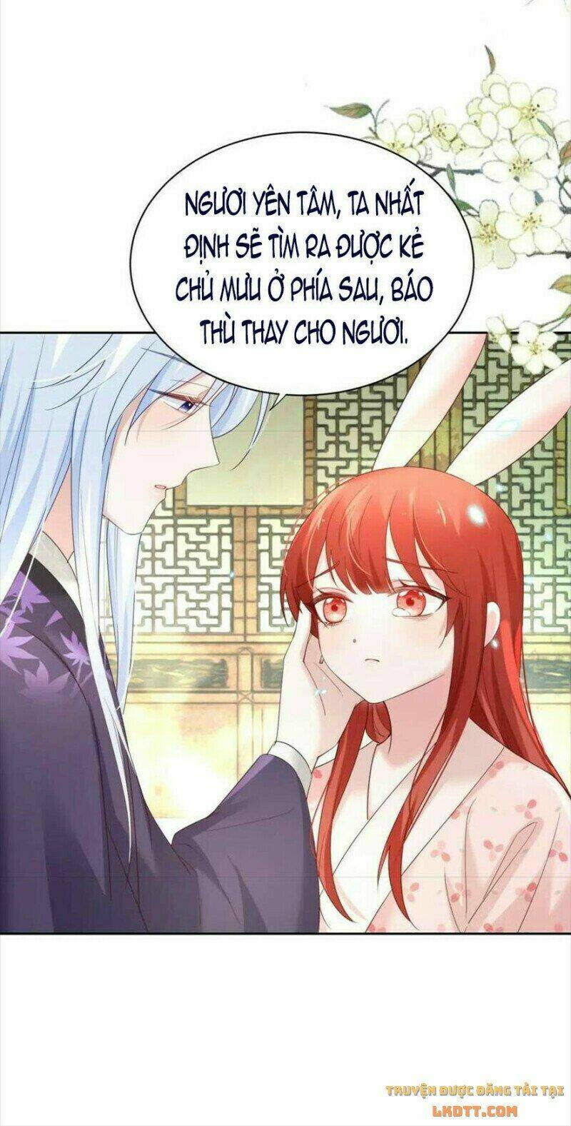 hắc hóa nam chính trực tuyến nuôi thỏ chapter 60 31