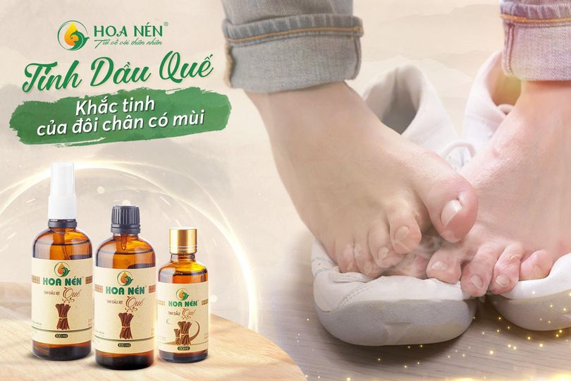 Tinh dầu Quế nguyên chất Hoa Nén 3ml- 100ml - Đuổi côn trùng, khử mùi, lọc không khí