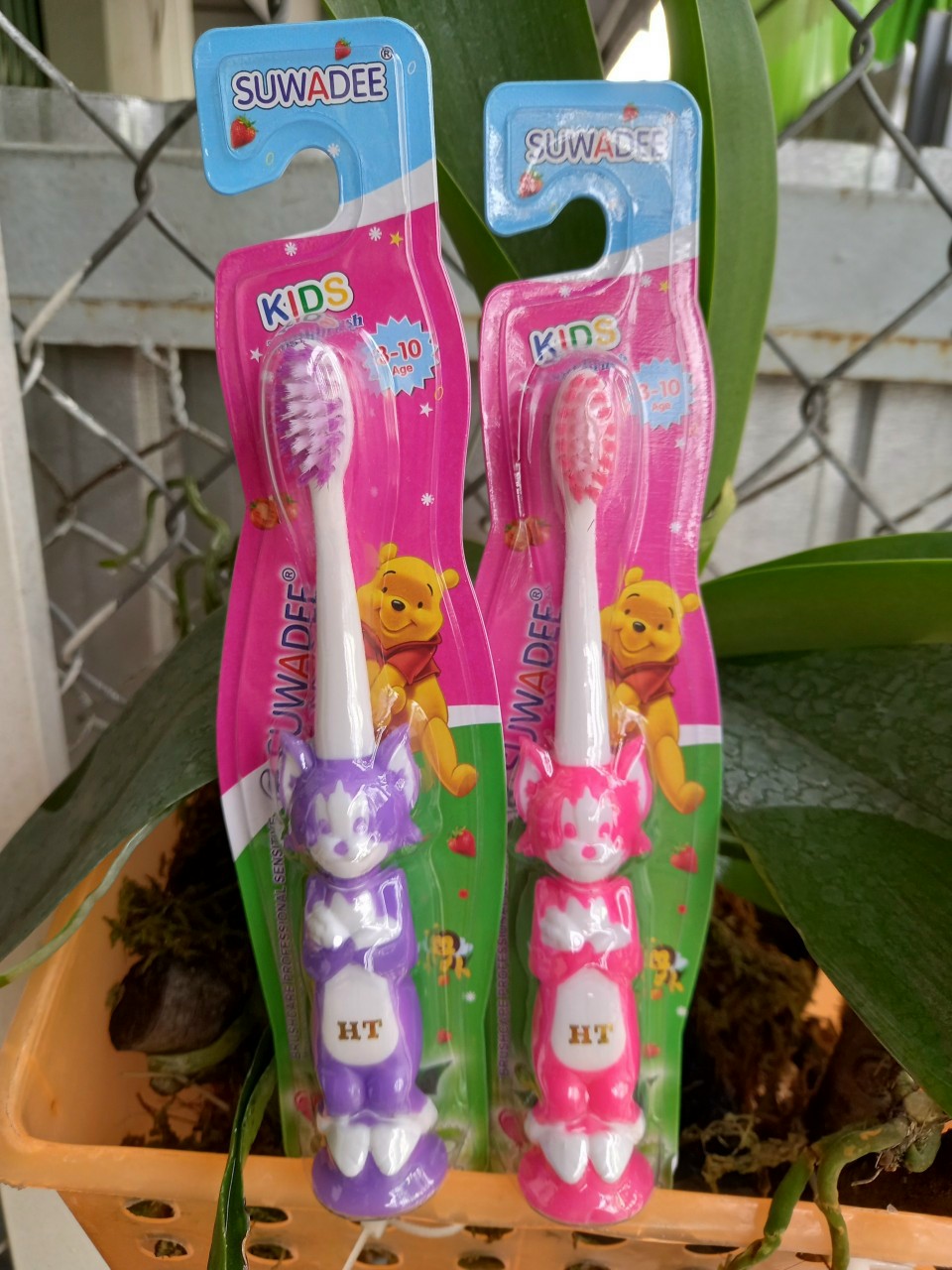 Combo 2 bàn chải suwadee mềm mại- mẫu ngẫu nhiên