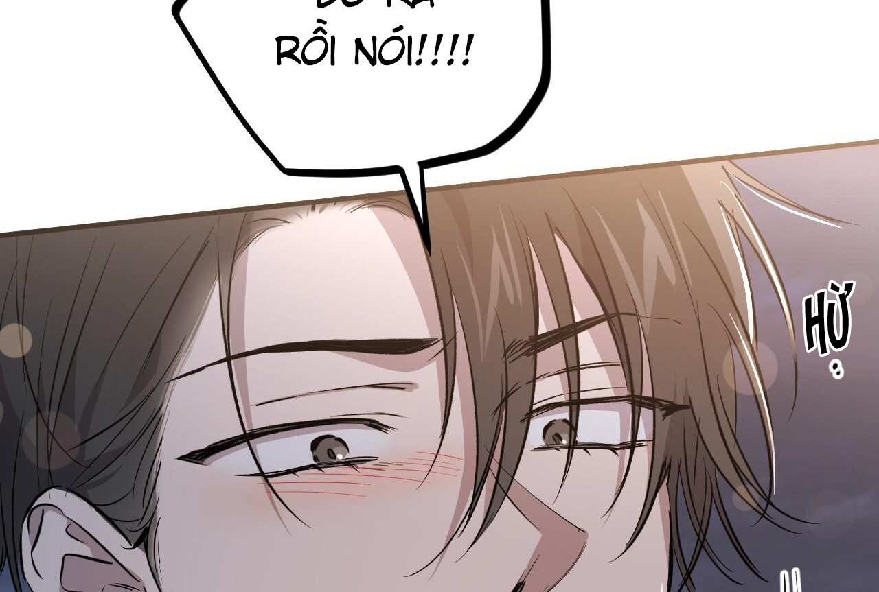 những chú thỏ của hapypy chapter 58 139