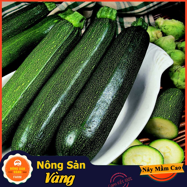 Hạt giống Bí Ngòi ( Gói 10 Hạt ) - Nông Sản Vàng