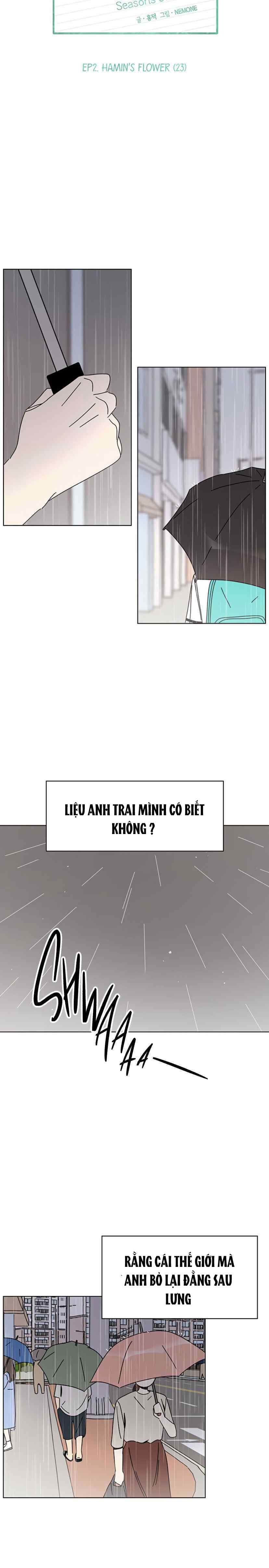 thanh xuân rực rỡ - season of blossom chapter 53 15