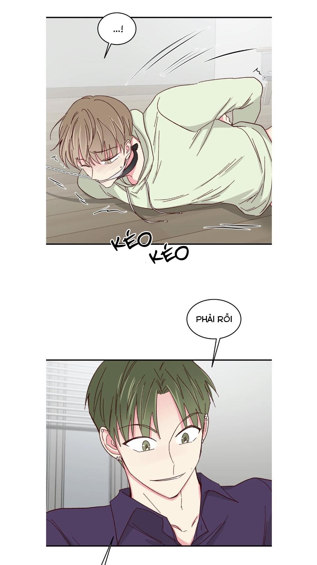 món tráng miệng của sếp tổng chapter 57 26