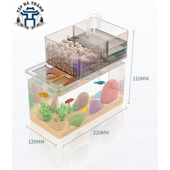 Bể Cá Mini Fish Tank Trang Trí Bàn Làm Việc, Văn Phòng