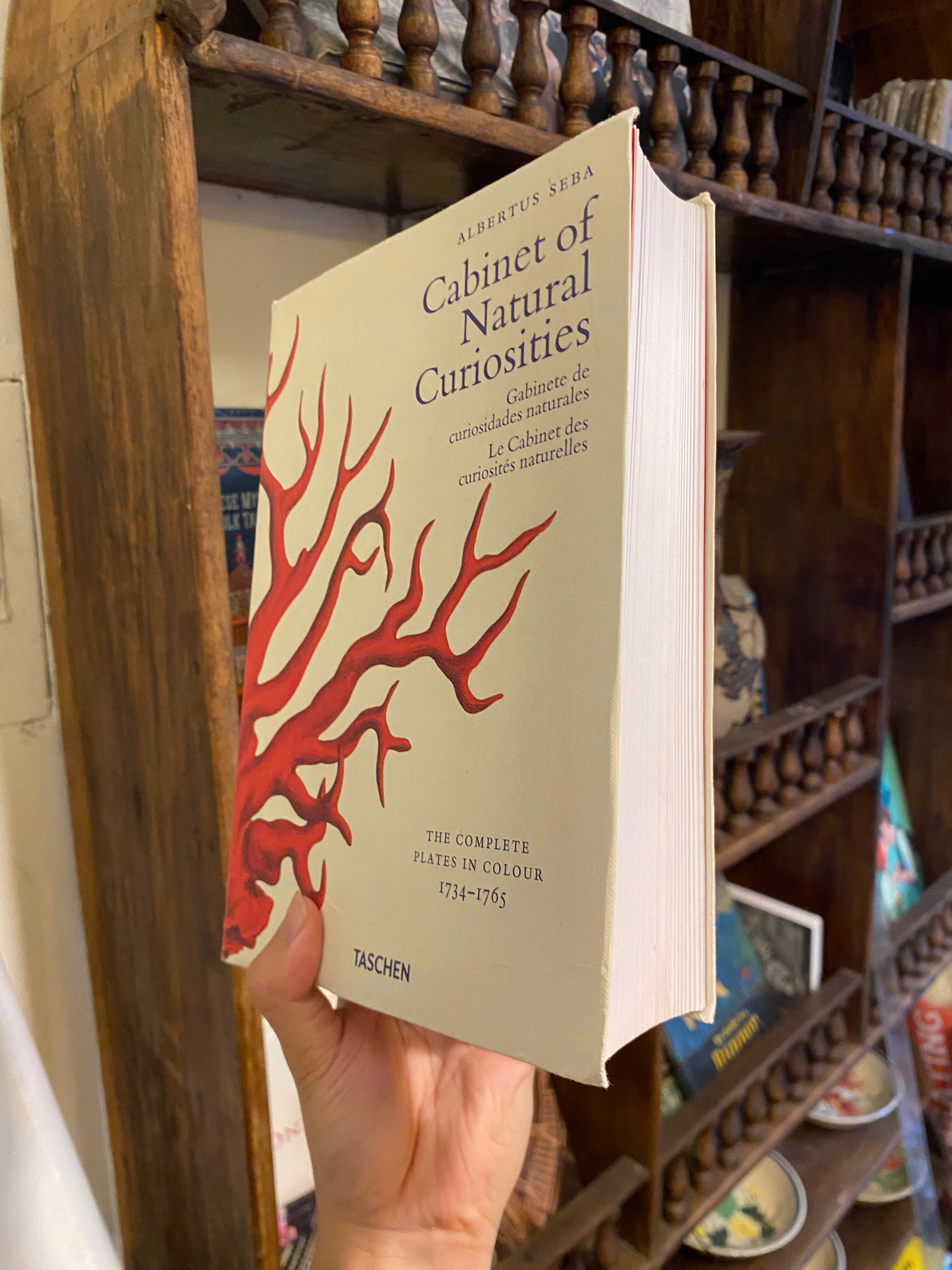 Sách - Cabinet of Natural Curiosities by Albertus Seba | Natural History - English Science Book