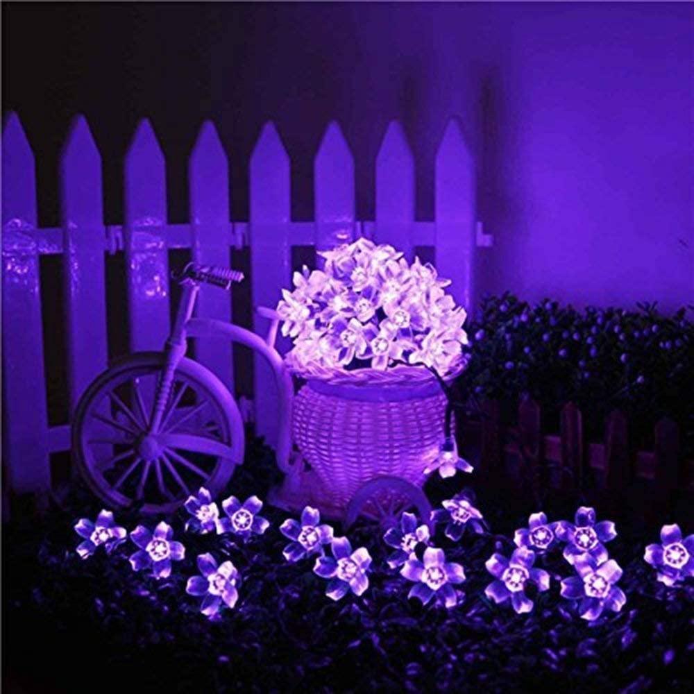 Dây Đèn Led 21ft 50 Bóng Màu Tím Trang Trí Tiệc