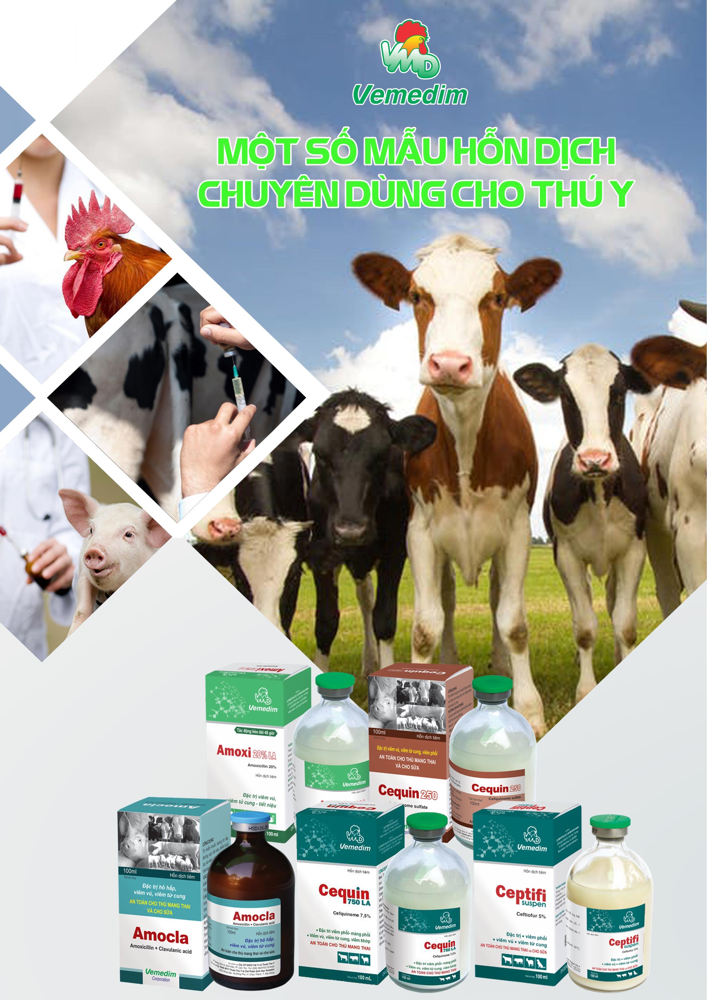 Probisol - Men tiêu hóa, Vi sinh vật hữu ích cho gia súc gia cầm, Kích thích tiêu hóa, tăng sức đề kháng, gói 1kg, sản phẩm Vemedim