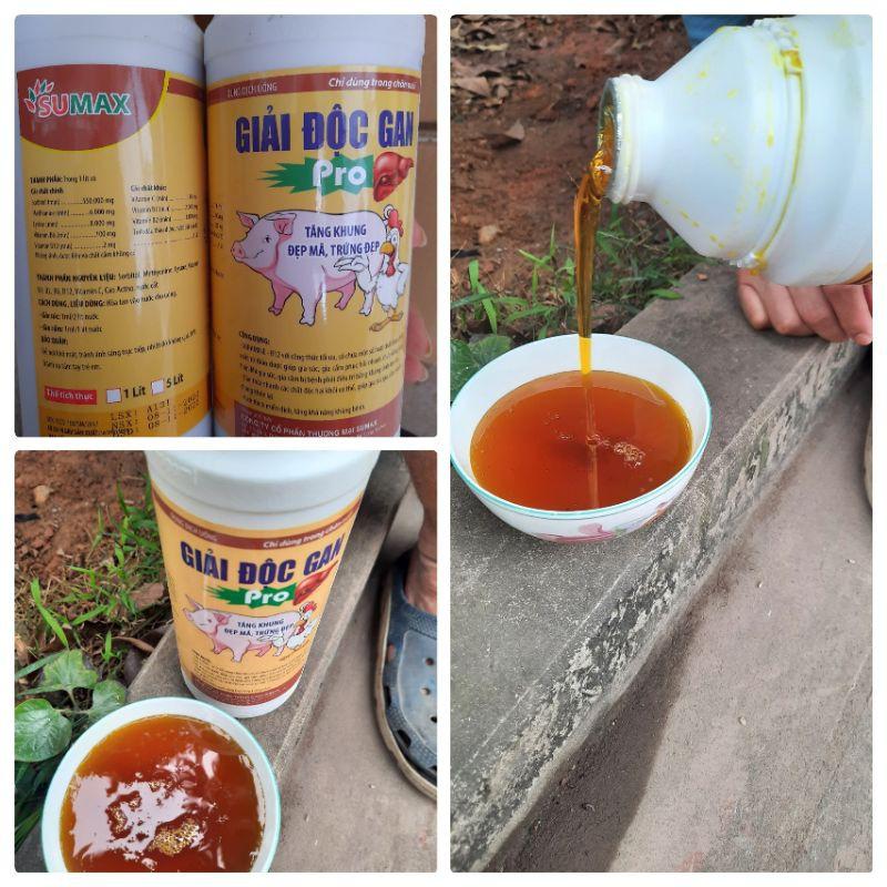Giải độc gan 1 lít/hộp