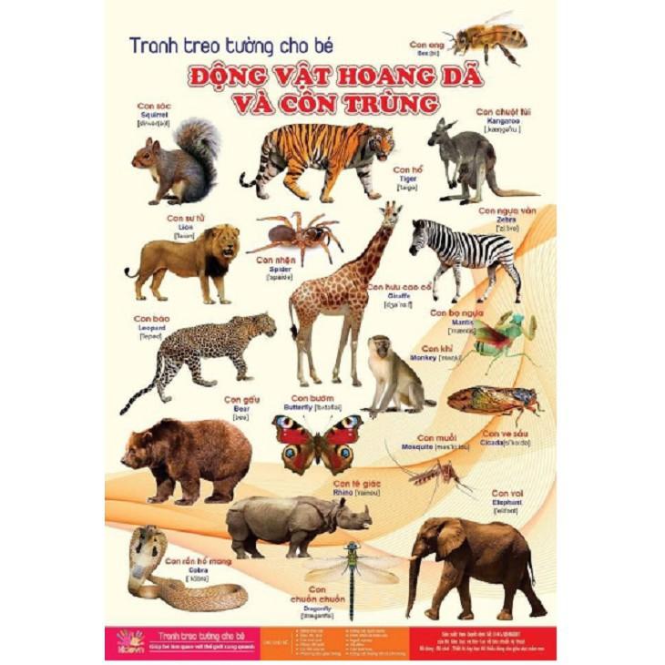 Bộ tranh treo tường về thế giới xung quanh 14 chủ đề cho bé