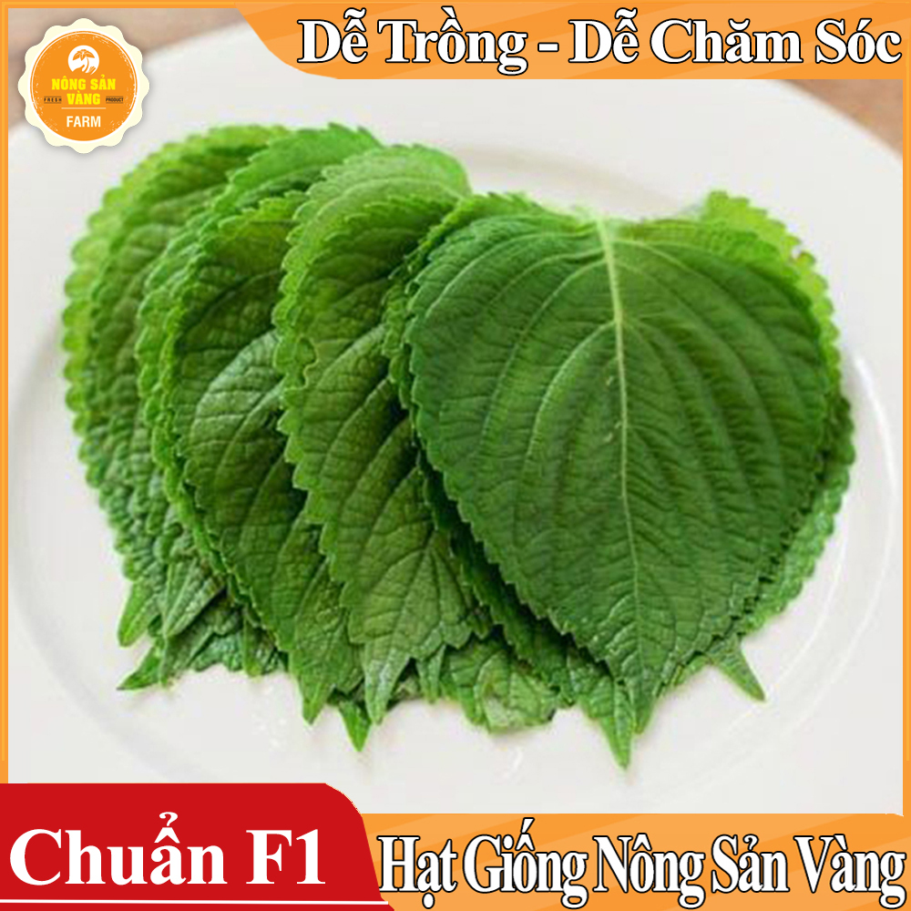 Hạt giống Rau Thơm Mè Hàn Quốc ( Gói 0,5 Gram ) - Nông Sản Vàng