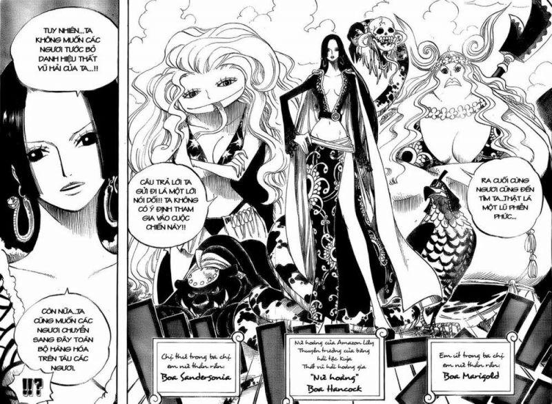 đảo hải tặc - one piece chapter 516 13